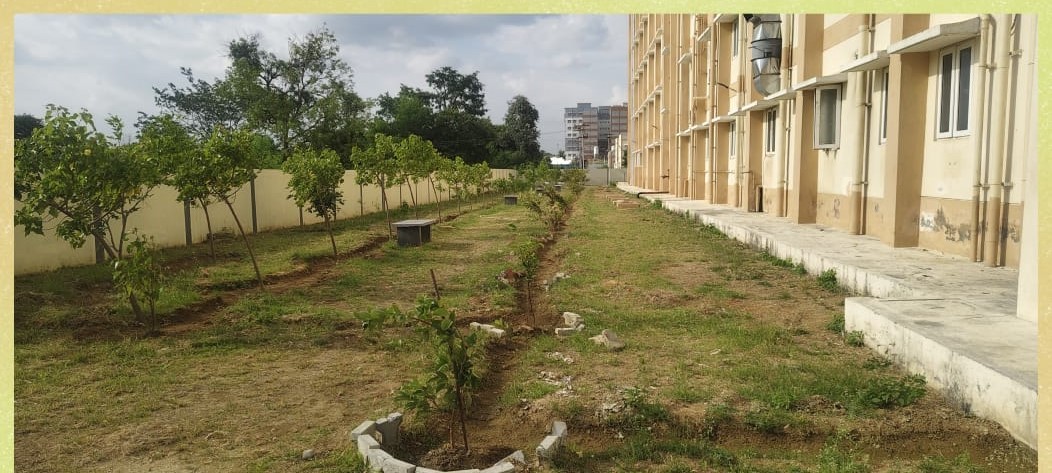 Garden 1