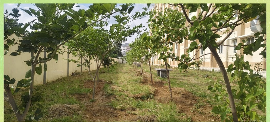 Garden 2