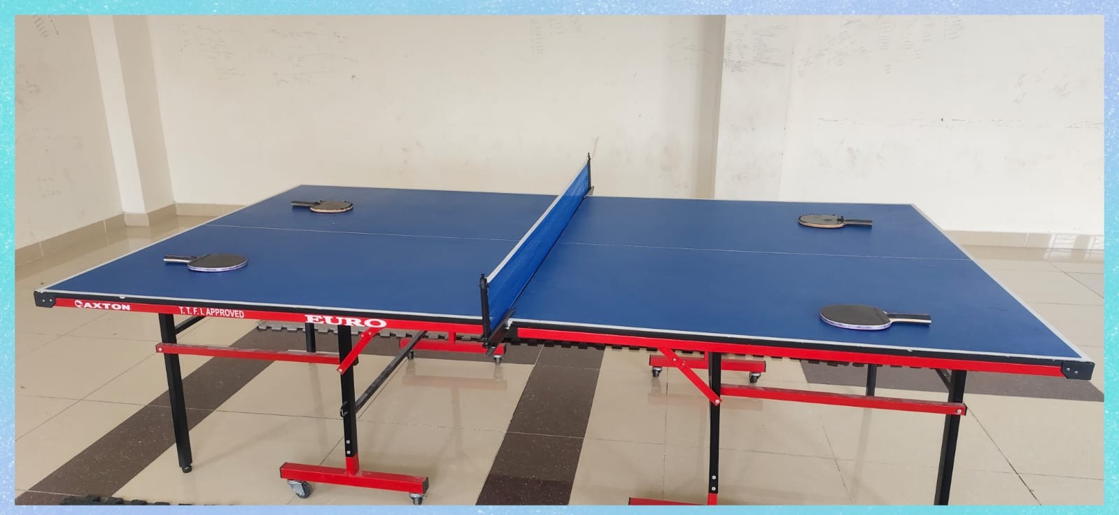 Table Tennis Full View
